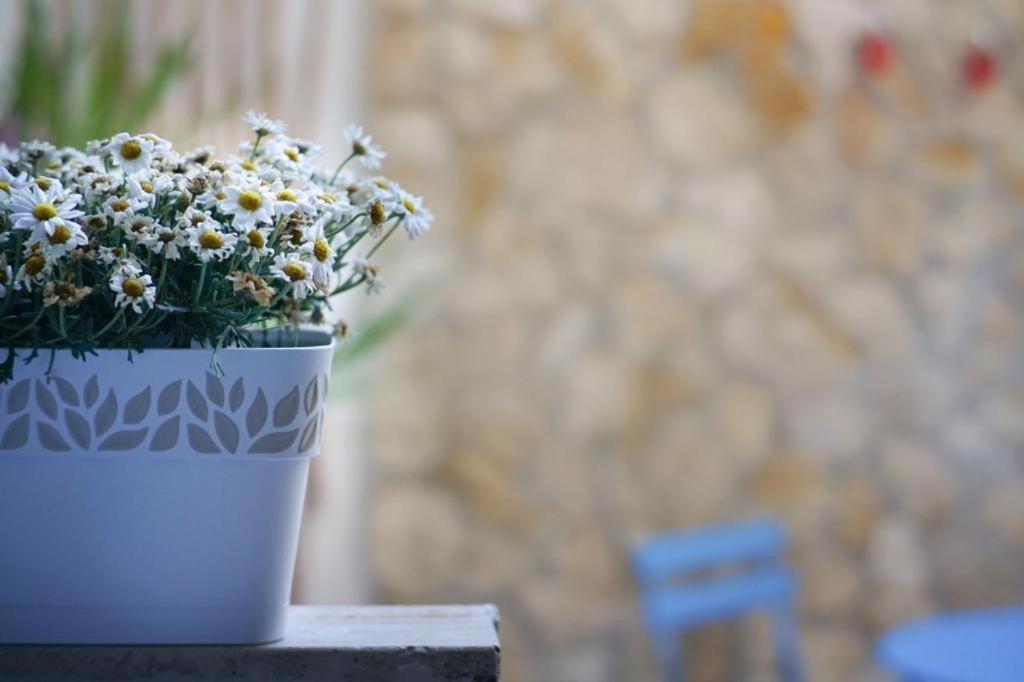 Blue Courtyard Not Valid Διαμέρισμα Μπάρι Εξωτερικό φωτογραφία